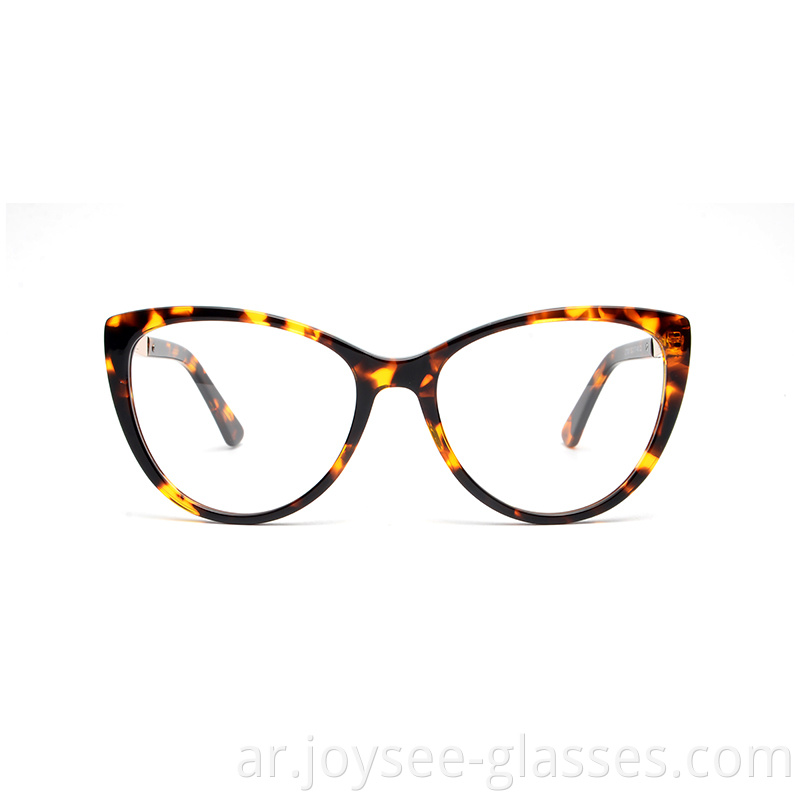 optical frames eyeglasses